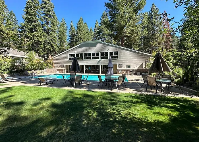 The Perfect Forest Pines Getaway